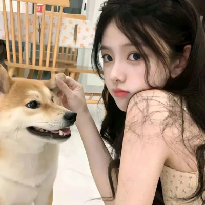 不完美的正义